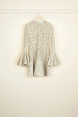 Silvery Moon
